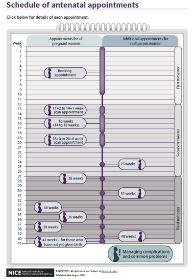 2.29 NHS CAre in Pregnancy- Appointment Schedule.PNG
